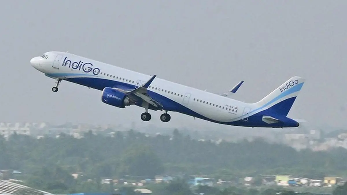 IMG_IndiGo_Flight_2_1_L3DTCHG8.jpg