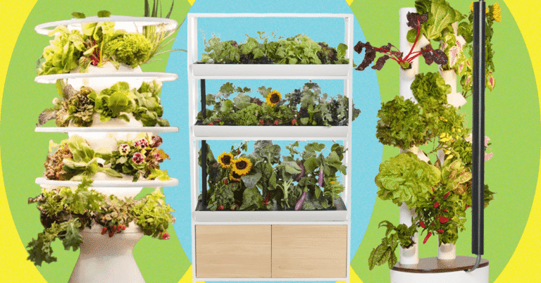 We20Tried20520of20the20Most20Popular20Indoor20Gardening20Systems.png