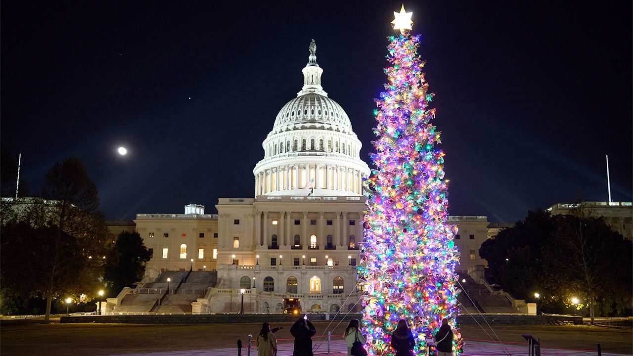 capitol-hill-christmas-tree.jpg