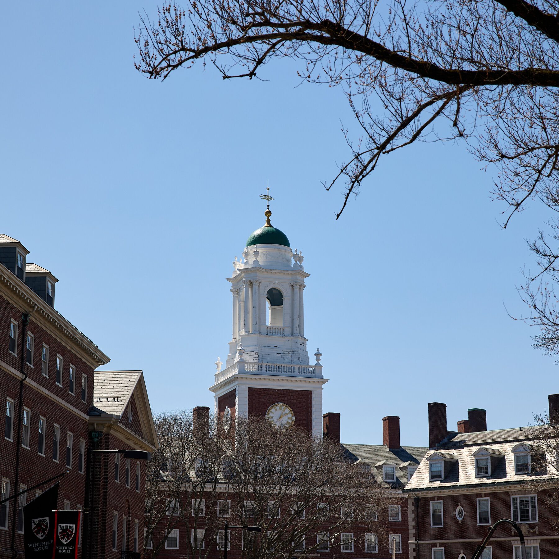 00DC-TRUMP-EDUCATION-fhlq-mediumSquareAt3X