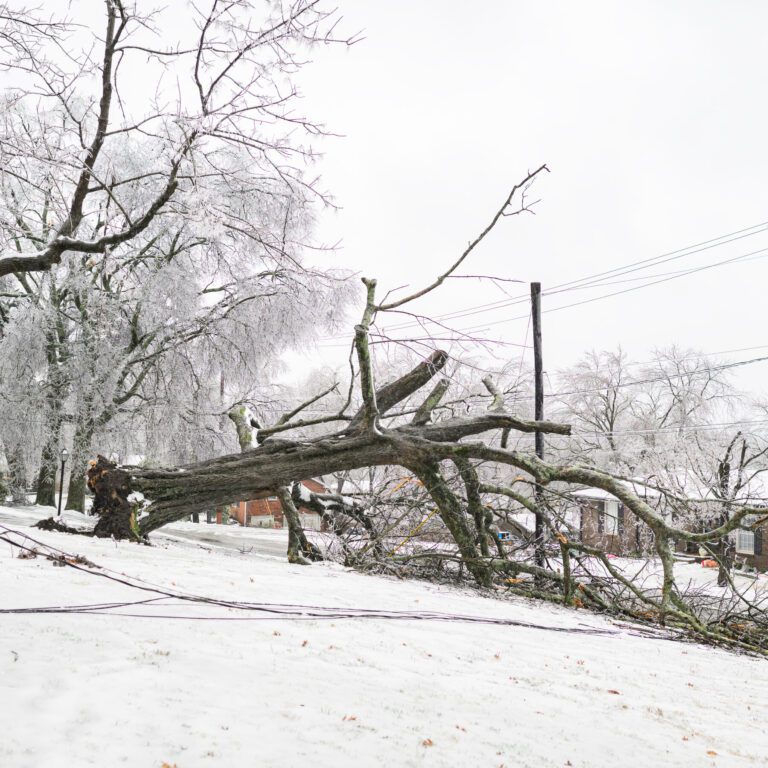 26nat-winter-storm-south-plkj-mediumSquareAt3X