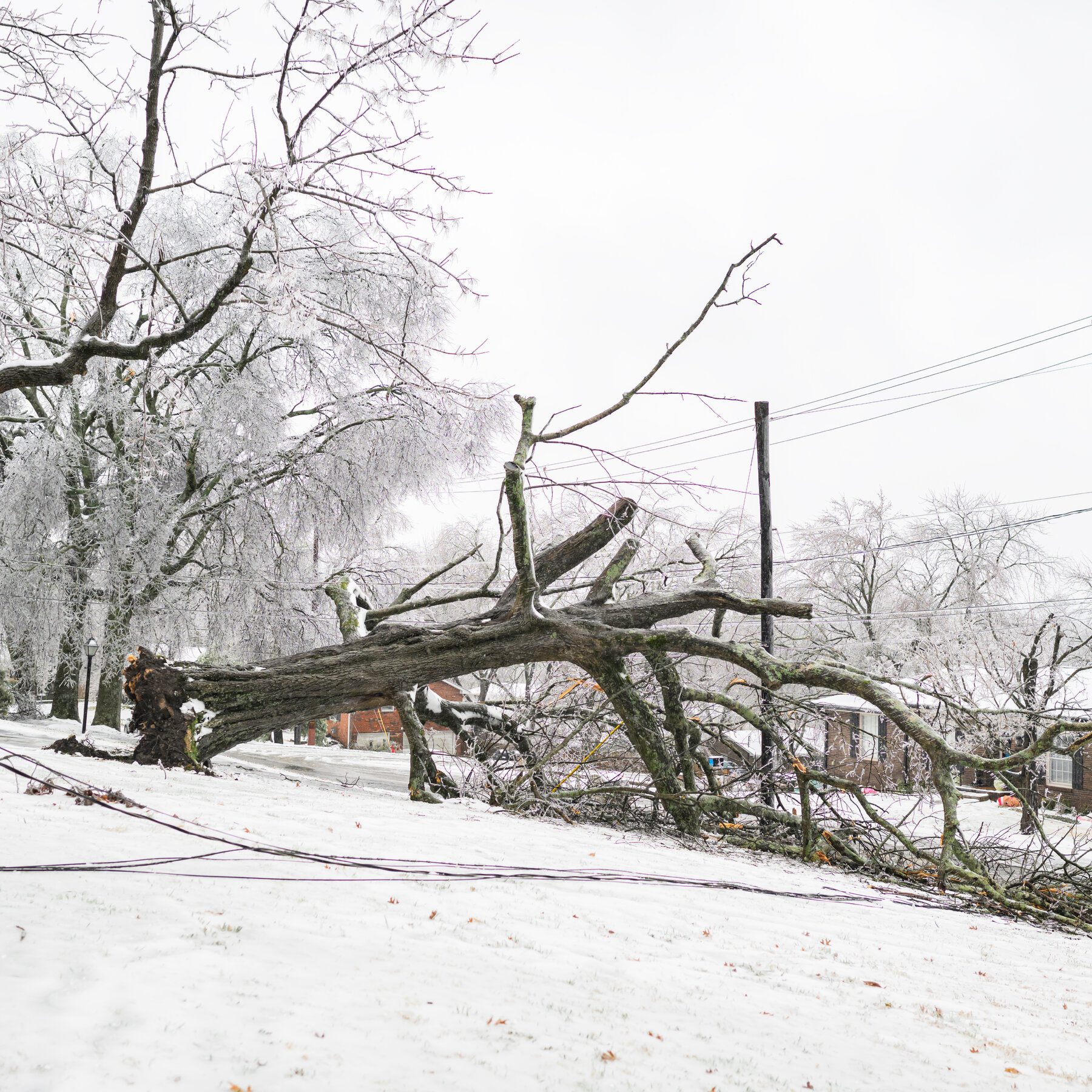 26nat-winter-storm-south-plkj-mediumSquareAt3X