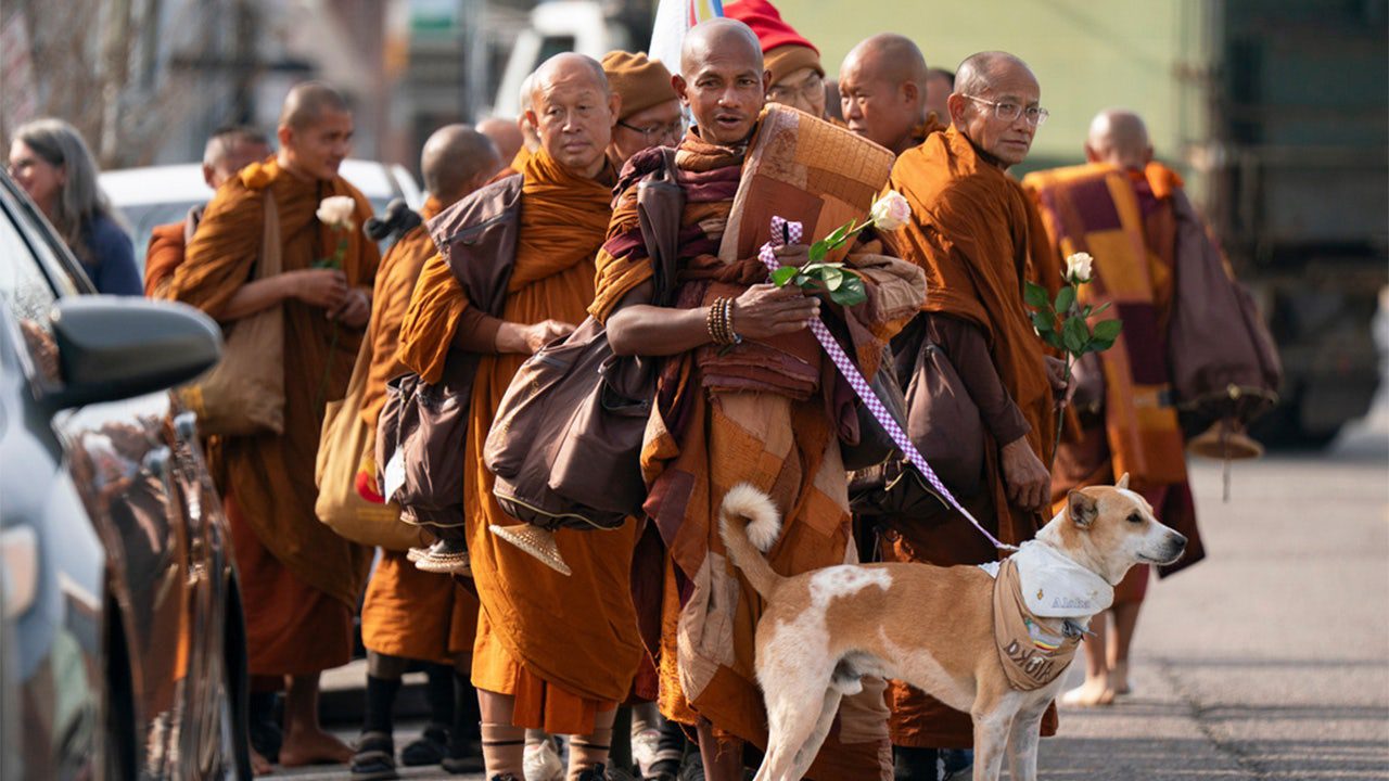 buddhist-monks-dog-aloka.jpg