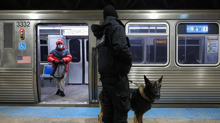 chicago-train-stabbing-cellphone-video-001