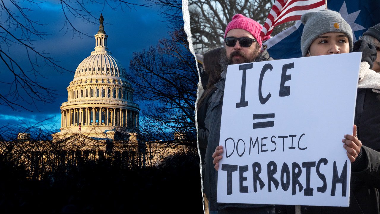 congress-and-protest-split-image.jpg