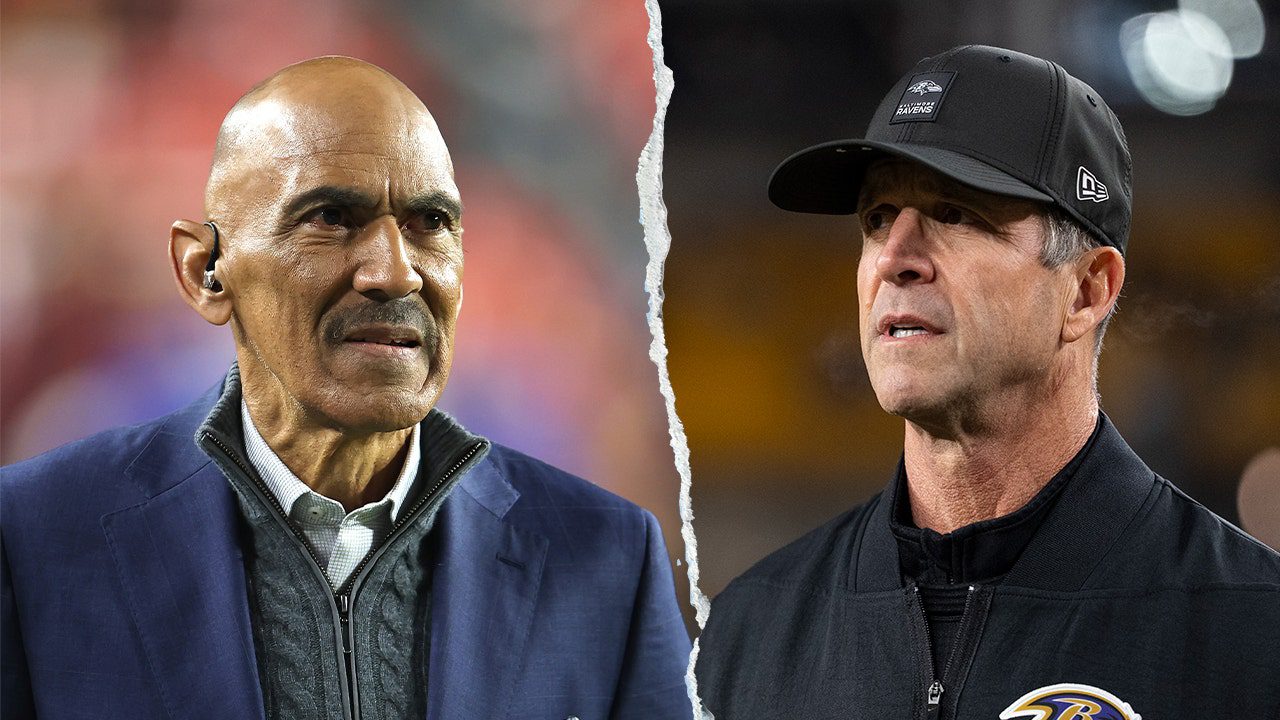 dungy-harbaugh-fox-news-001.jpg