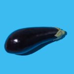 eggplant-blue-background.jpg
