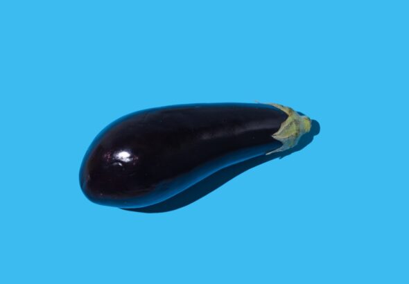 eggplant-blue-background.jpg