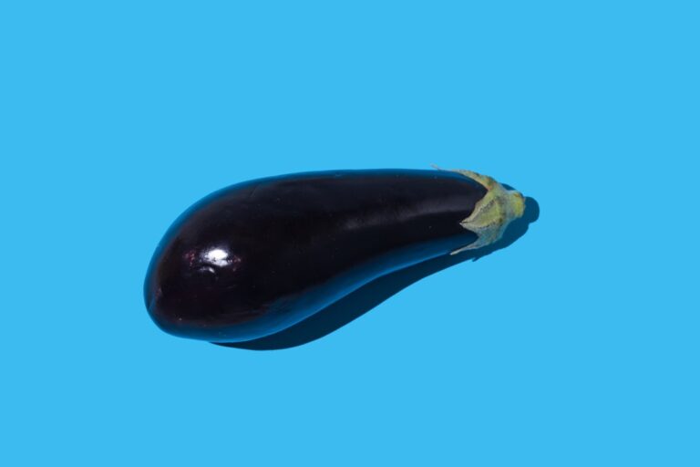 eggplant-blue-background.jpg