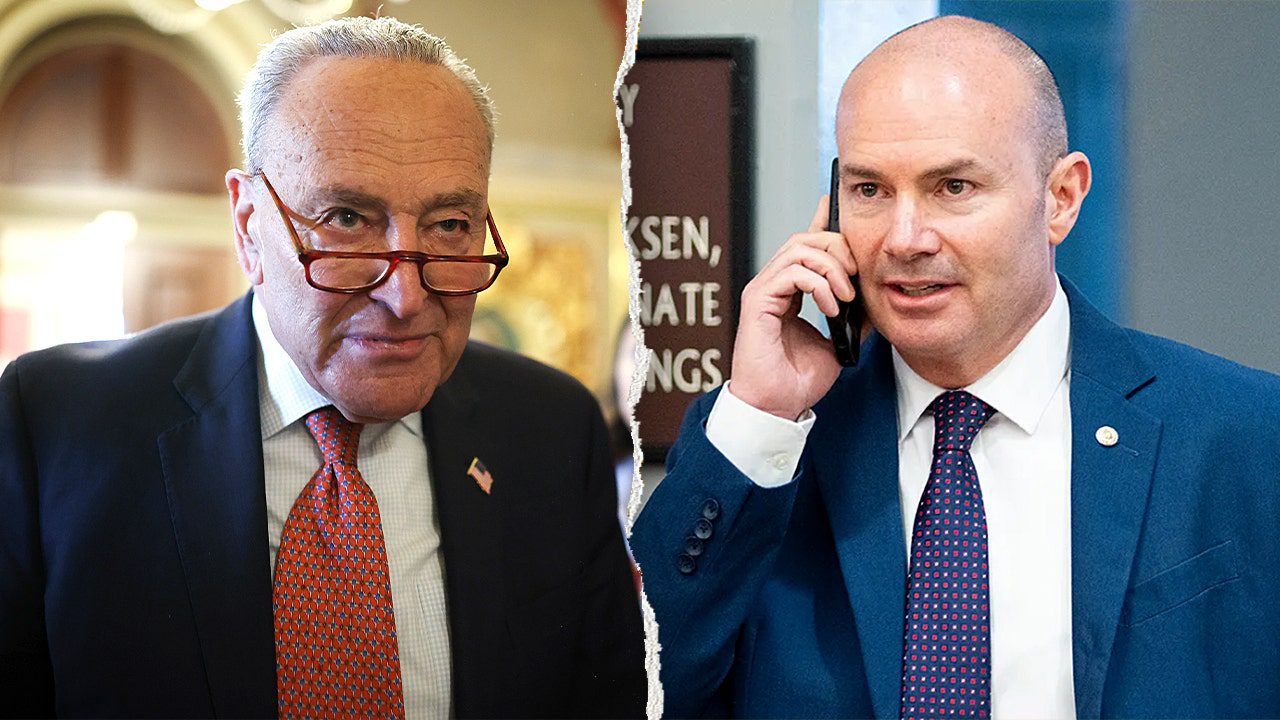 schumer-lee-split4.jpg