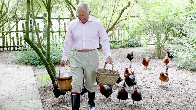 king-charles-chickens.jpg