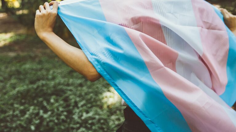 person-with-trans-flag.jpg