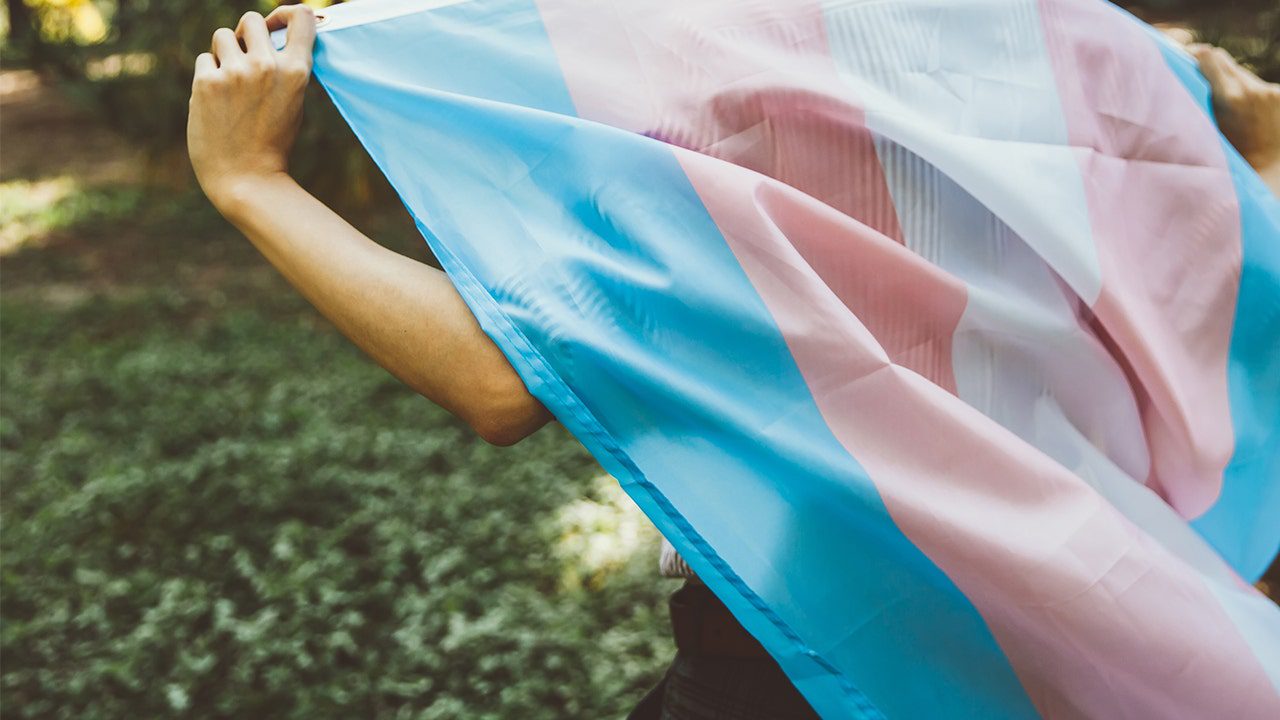 person-with-trans-flag.jpg