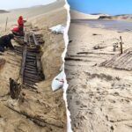CANADA-SABLE-ISLAND-SHIPWRECK-MYSTERY-HISTORY-DISCOVERY-ARCHAEOLOGY-4.jpeg