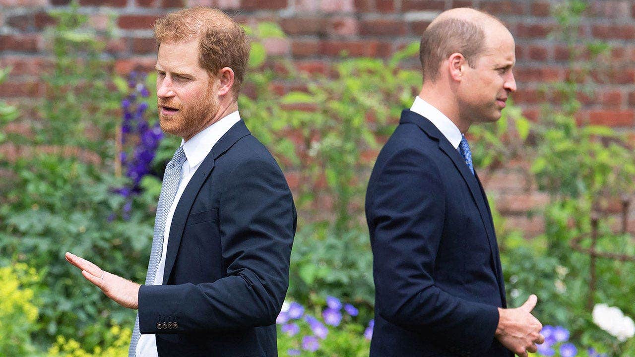 Prince-Harry-Prince-William-Feud-Story.jpeg