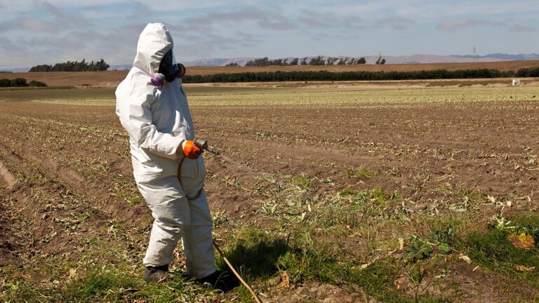 pesticide-spraying.jpg