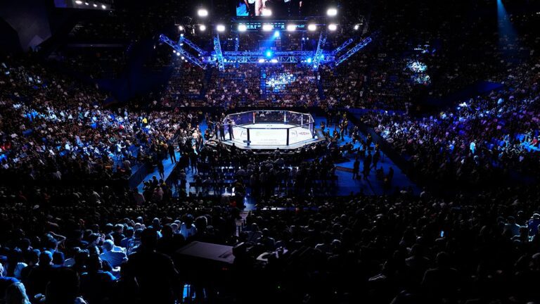 ufc-ring-1.jpg