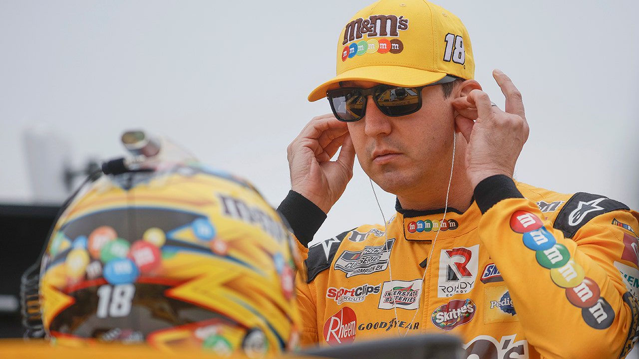 Kyle-Busch3.jpg