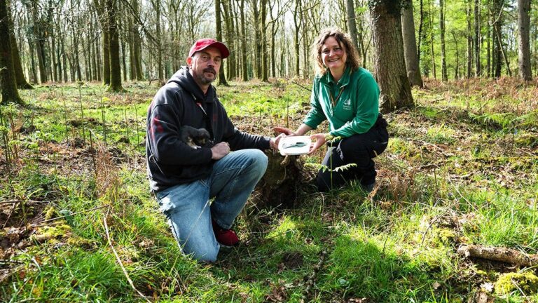 UK-FOREST-OF-DEAN-BRONZE-AGE-AX-FOUND-ARCHAEOLOGY-HISTORY-DISCOVERY-1.jpeg
