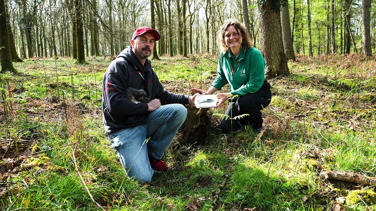UK-FOREST-OF-DEAN-BRONZE-AGE-AX-FOUND-ARCHAEOLOGY-HISTORY-DISCOVERY-1.jpeg
