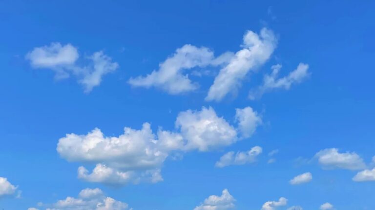 bluesky-003.webp.jpeg