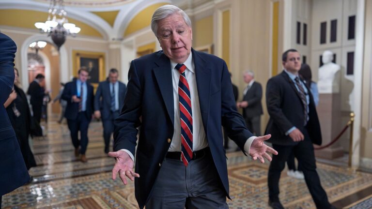 lindsey-graham-homeland-security-budget-capitol-fox-news.jpg