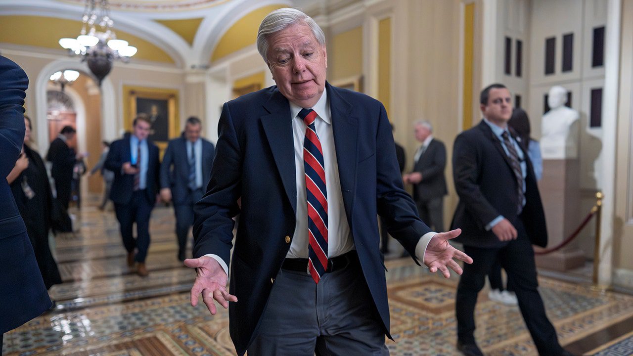 lindsey-graham-homeland-security-budget-capitol-fox-news.jpg