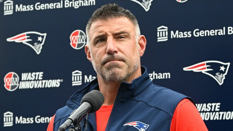 mike-vrabel-.jpg