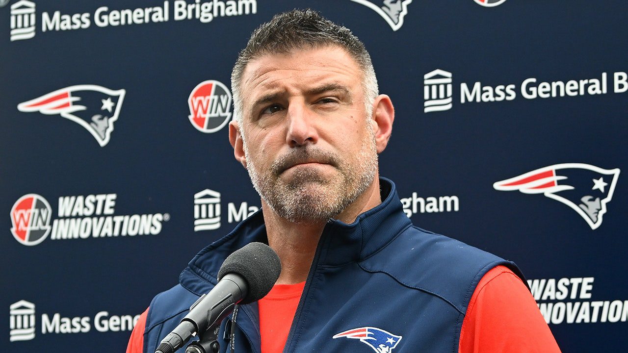mike-vrabel-.jpg