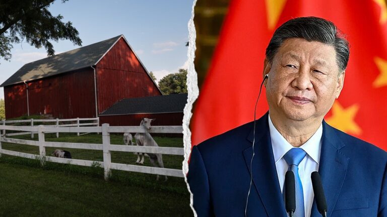 national-ffa-china-syngenta-congressional-probe-002.jpg