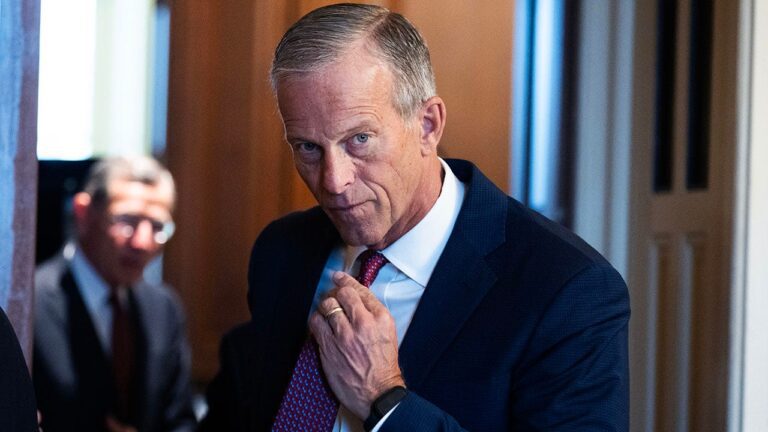 senate-majority-leader-john-thune-dhs.jpg