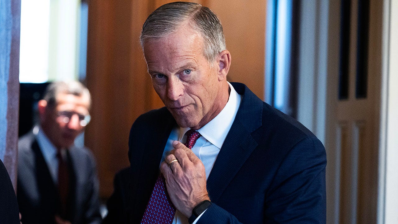 senate-majority-leader-john-thune-dhs.jpg