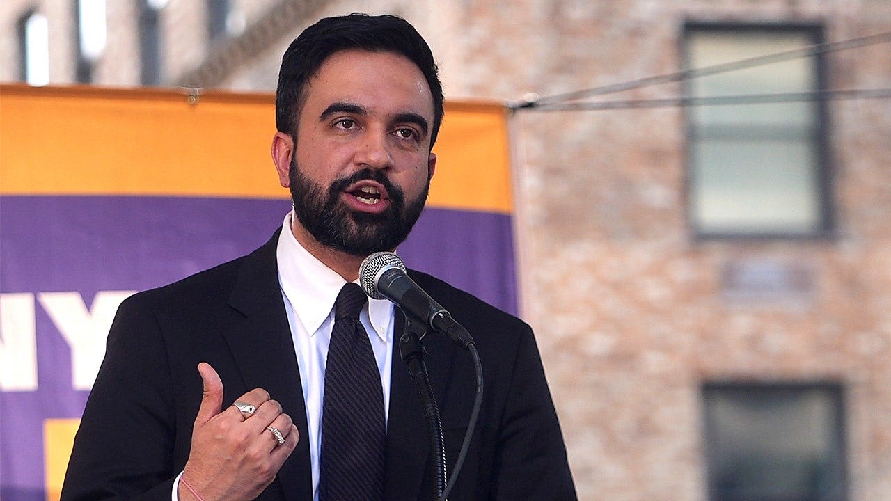 zohran-mamdani-seiu-rally-fox-news-001.jpeg