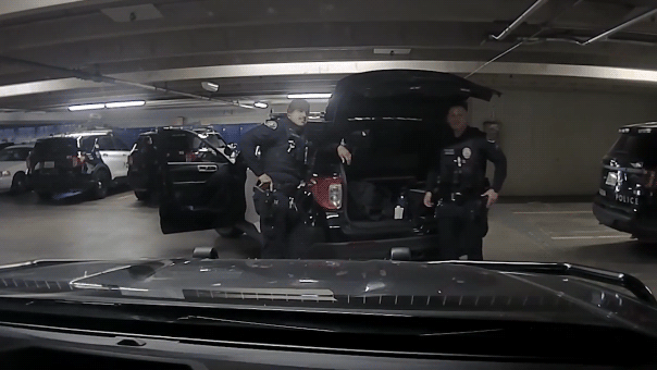 16ddfedd-pasadena-pd-friendly-fire-2.gif