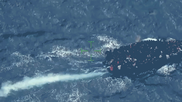 COASTGAURDRESCUE.gif
