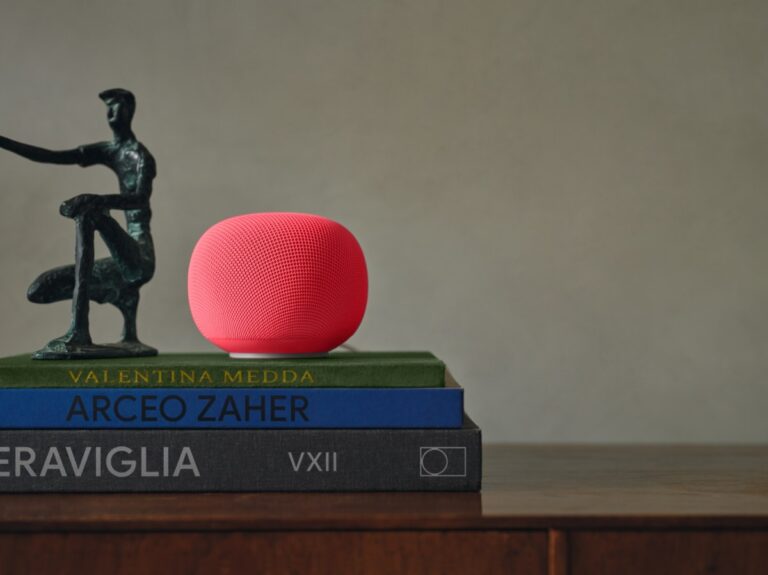 Google-Home-Speaker-Berry.jpeg