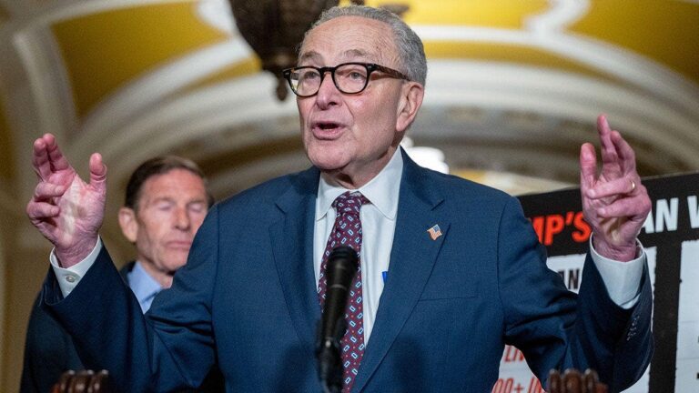 chuck-schumer-senate-democrat-washington-fox-news-001.jpeg
