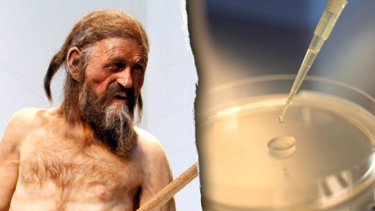 iceman-mummy-split.jpg
