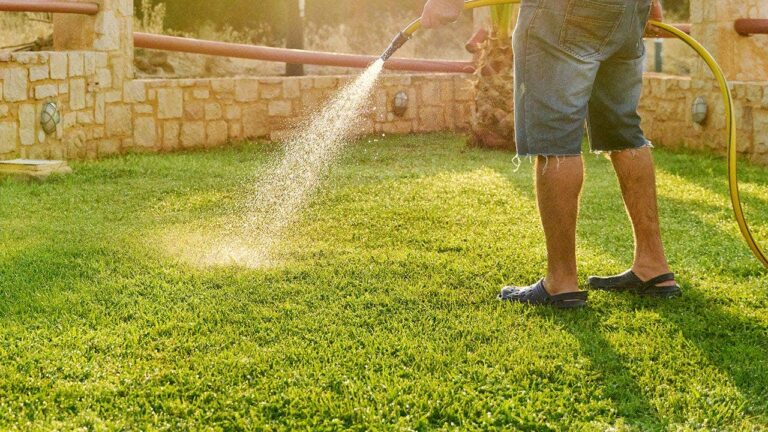 man-watering-lawn-fox-news-001.jpeg