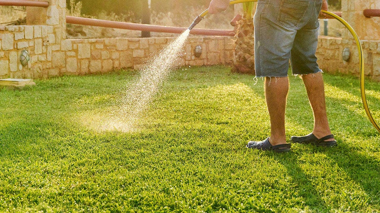 man-watering-lawn-fox-news-001.jpeg