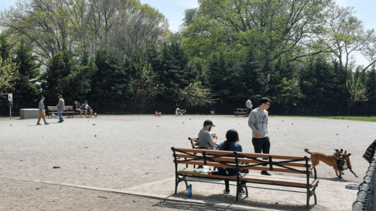 nyc-park.png