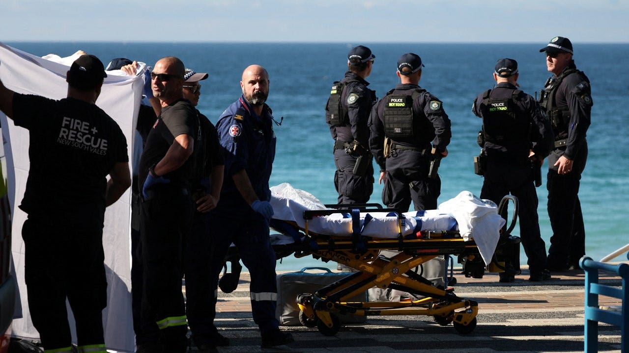 shark-warning-sydney-beach.jpeg