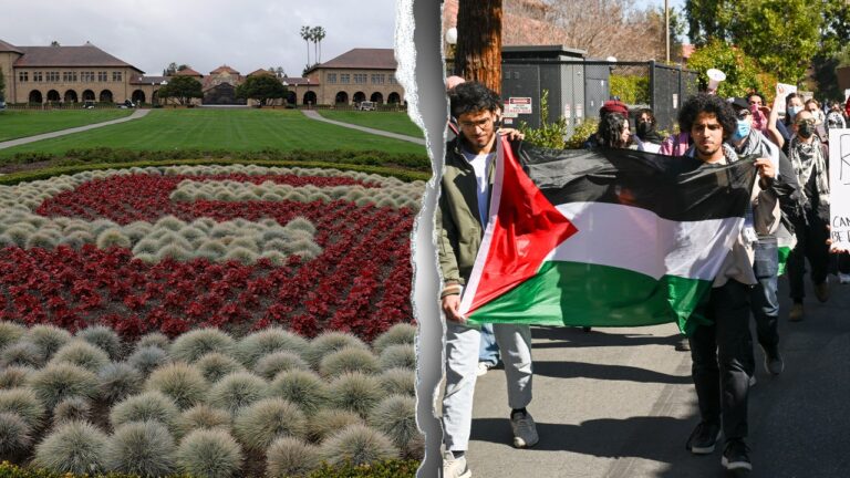 stanford-palestine-split.jpg