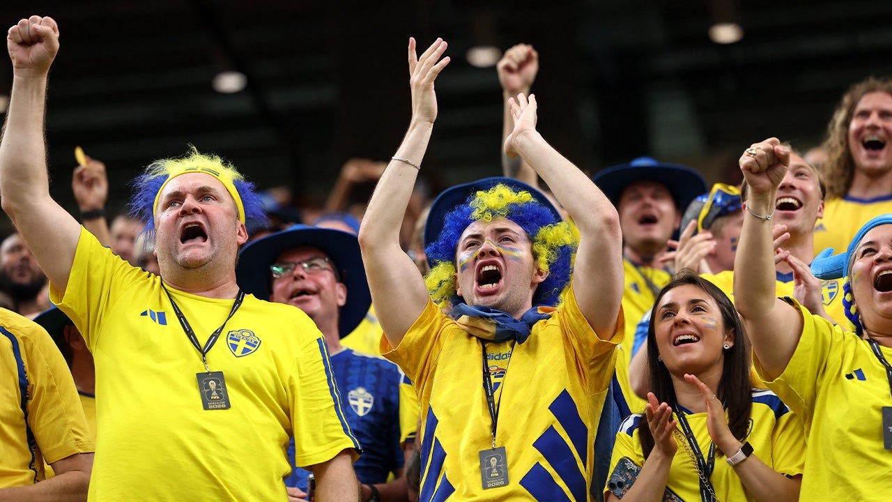 swedish-fans.jpeg