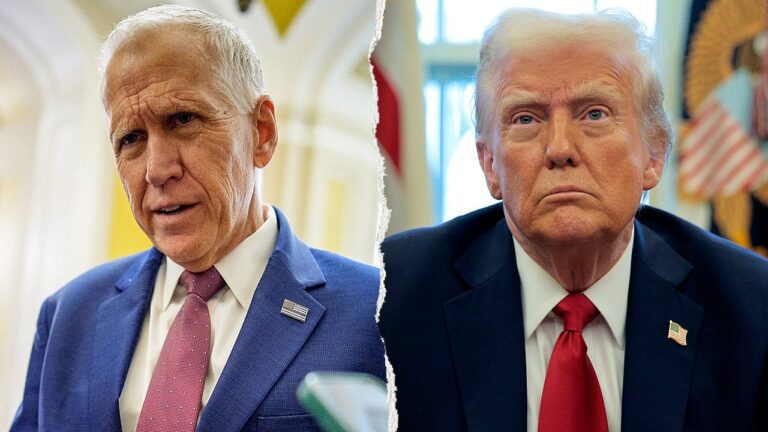 tillis-trump-split.jpeg