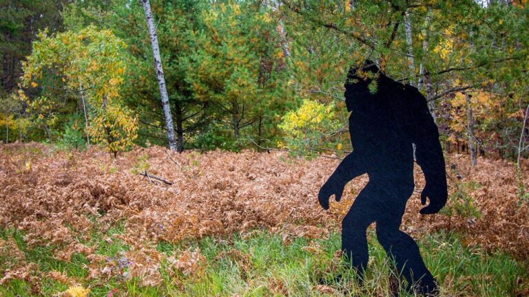 1785085712_man_says_children_spotted_bigfoot_in_woods.jpg