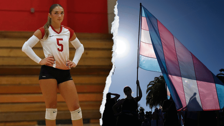 2splitvolleyballandtransflag.png