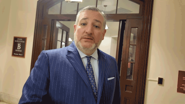 CRUZ-SLAMS-FAUCI.gif