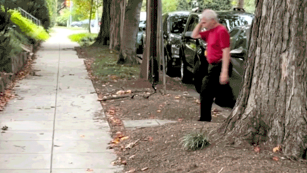 FAUCI-WALKS-AWAY-FROM-FND.gif