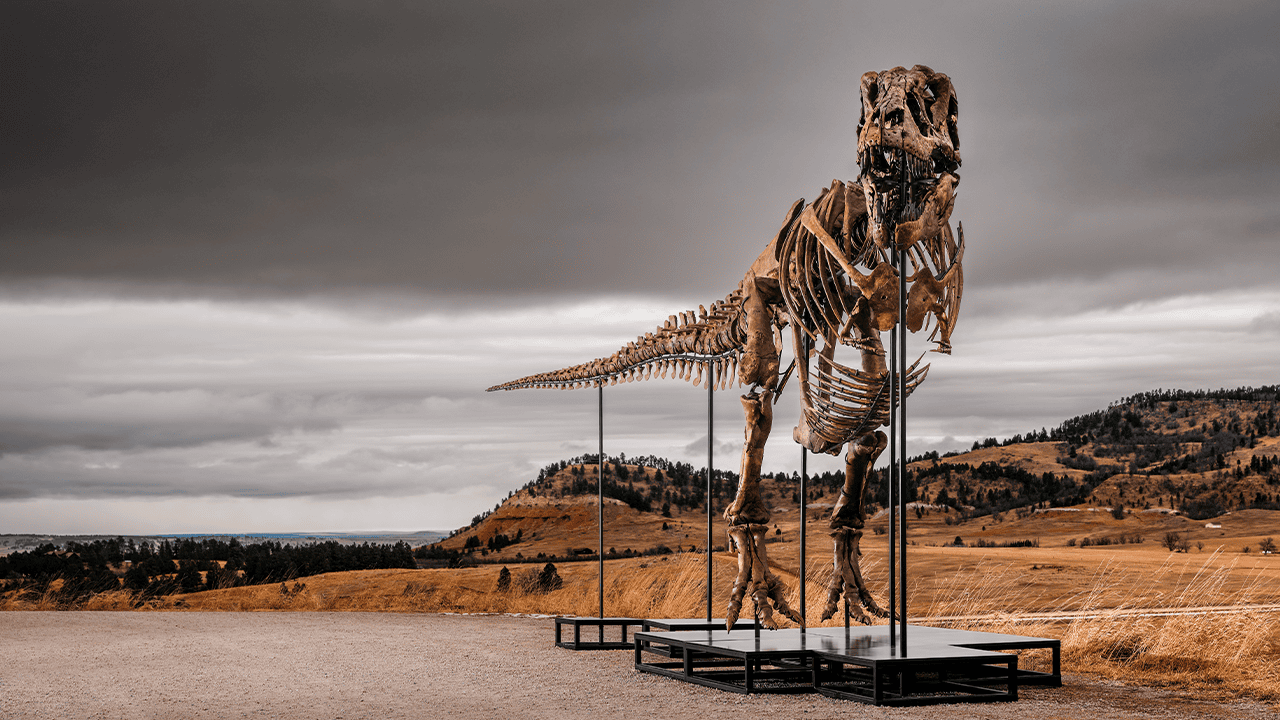 Gus_Tex_Rex_5.png